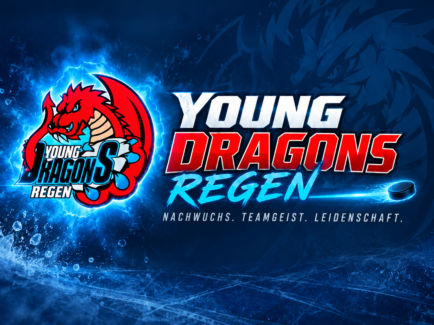Young Dragons Regen